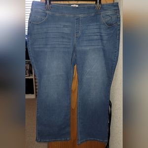 Westbound Plus-Size Mid Rise Straight Leg Pull-On Jeans